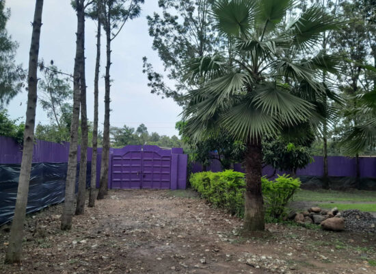 Home Nolan James Centre Foundation Home Inset2 550x400